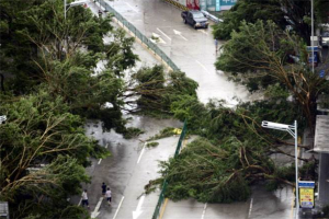 中国历史上最强台风排行：桑美上榜，第一使城市内部变海
