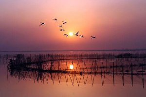 中国十大淡水湖 洞庭湖排名第二,江苏有三处湖泊上榜