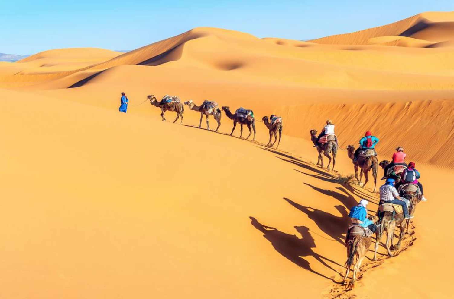 世界十大沙漠排行榜，哪个沙漠最大？