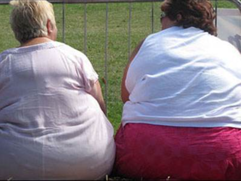 肥胖率最高的国家排行榜