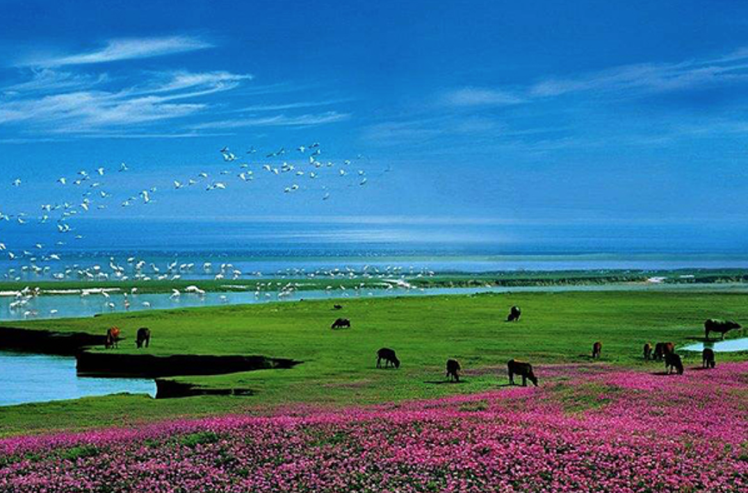 中国五大湖泊排行榜：八百里洞庭和五大湖之首