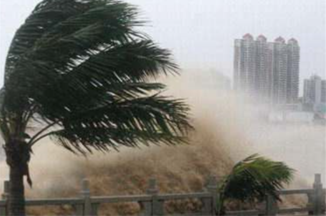 广东最强台风排行榜：威尔逊台风是最强台风