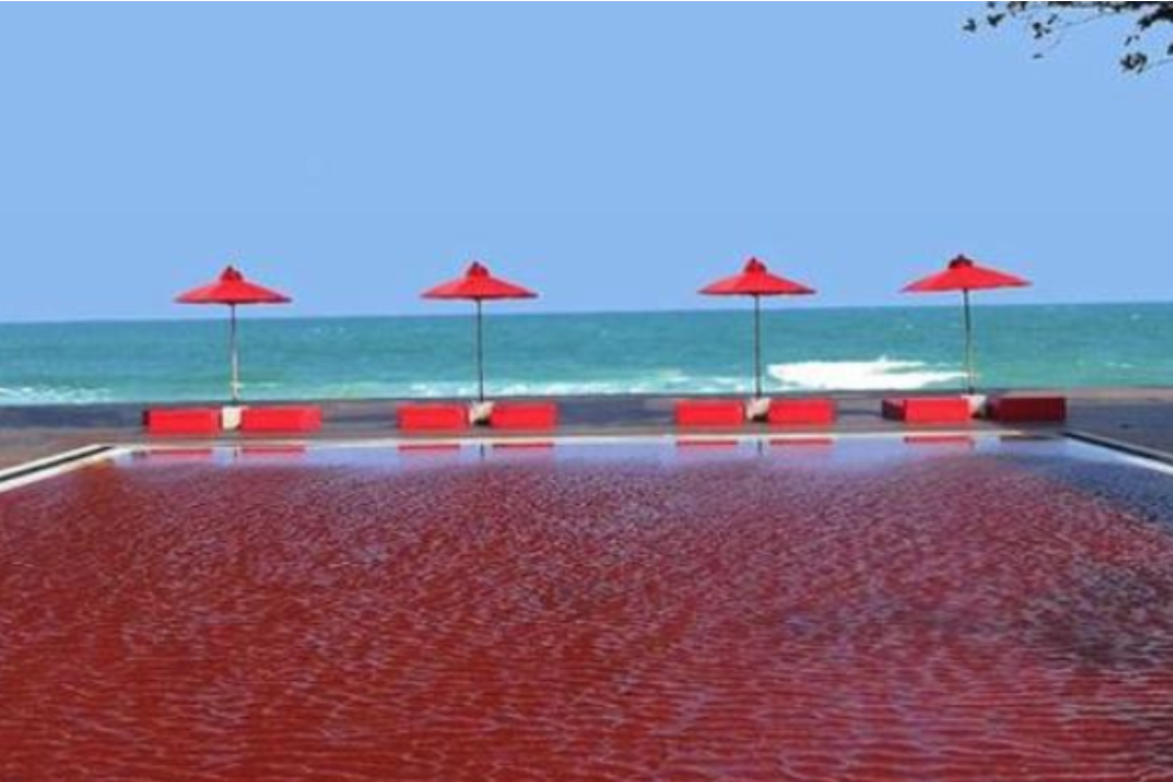 红色游泳池