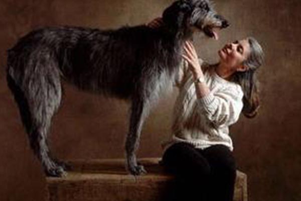 英国十大最有名气的狗狗排行榜：英国斗牛犬最受欢迎