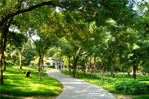 杭州景区十大公园排行榜：文化公园上榜，它古色古香