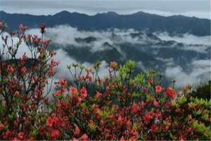 永州十大旅游景点:桐子坳景区上榜 千家峒大泊水瀑布风景如画