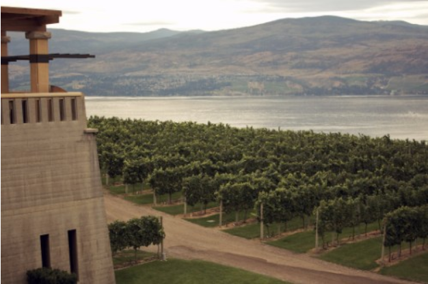 世界著名的十大酒庄排行榜：瑞士拉沃葡萄园世界遗产的酒庄