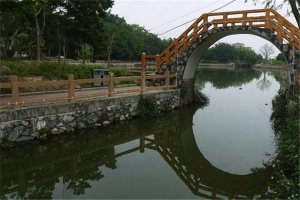 茂名十大公园广场排名：潘州公园上榜，第4以稻田为主题