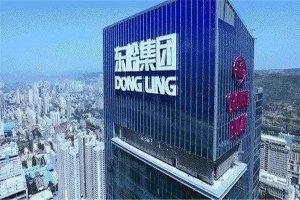 陕西民营企业500强名单 东岭集团 荣民控股集团上榜
