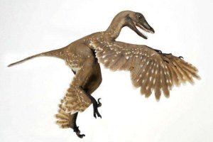 世界十大最著名恐龙 始祖鸟会飞秀颌龙体型小