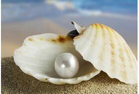 最珍贵的珍珠品种排名,罕见的鲍鱼珍珠(万里挑一)