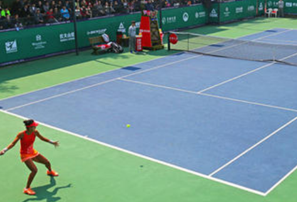 速度最快的球类运动排名：羽毛球、网球、足球、乒乓球上榜