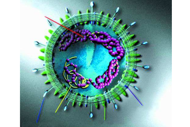 世界破坏力最强的十大病毒 埃博拉位列第一，天花上榜