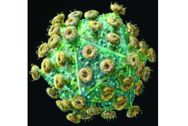 世界破坏力最强的十大病毒 埃博拉位列第一，天花上榜