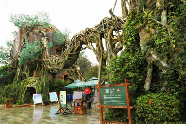 中国十大森林动物园
