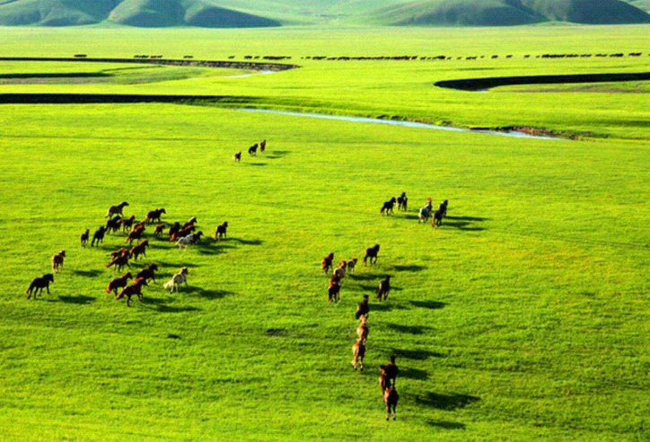 全球四大草原排行榜 中国占了三个，呼伦贝尔位列第一