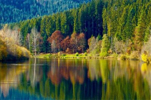 世界十大最美丽的森林 德国黑森林上榜，第四被誉为地球之肺