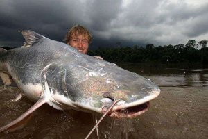 最凶猛的淡水鱼top10 六须鲇性格凶猛能够生吃人类