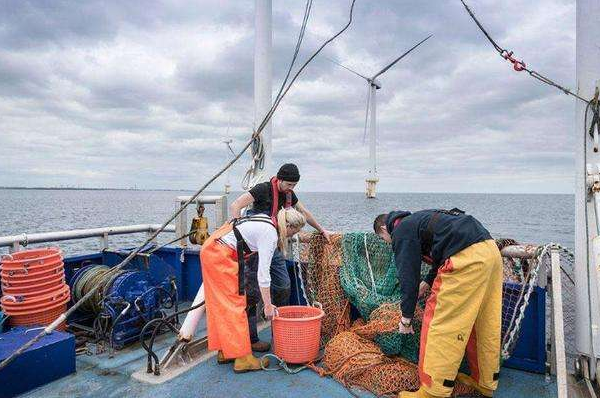 世界四大渔场排行榜 亚洲地区仅北海渔场上榜，欧洲占据两个