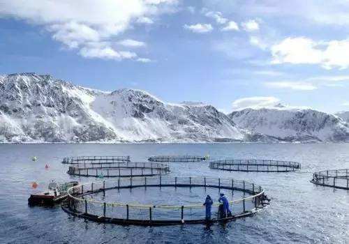 挪威超级渔场图片