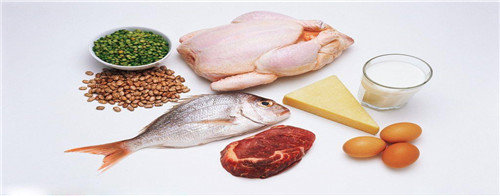 高蛋白食物有哪些-高蛋白食物排行一览表