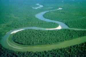 最美的十大热带雨林 西双版纳雨林上榜，第一是“地球之肺”