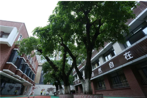 重庆市公立小学排名榜 重庆市育英小学校上榜沙坪坝小学历史悠久