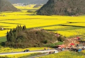 中国最美十处赏花圣地，婺源上榜，第四的赏花路线长达30公里