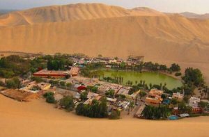 全球10大最壮观的沙漠绿洲 莫扎比绿洲上榜，第二是埃及最小的绿洲