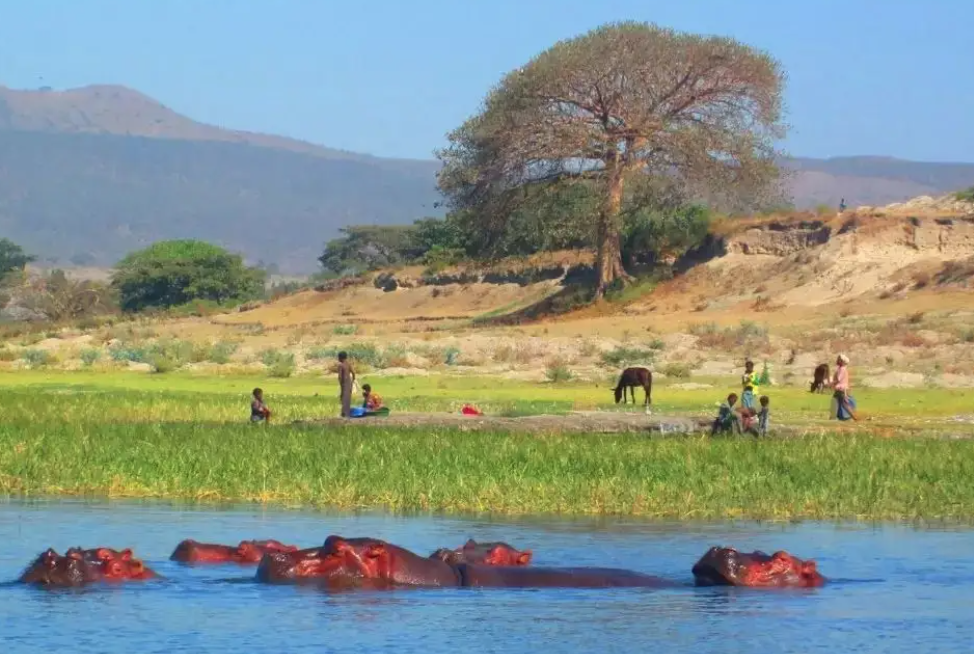 埃塞俄比亚济瓦伊湖人口总数2022：埃塞俄比亚城市人口排名第13
